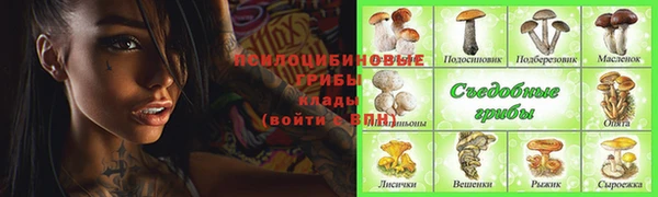 эйфоретик Абаза